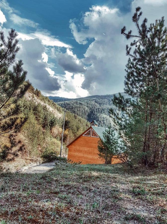 Didi Ateni Cozy Cottage Feel Free Continental מראה חיצוני תמונה